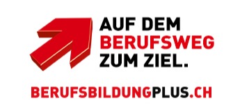 SBFI Logo 2 DE
